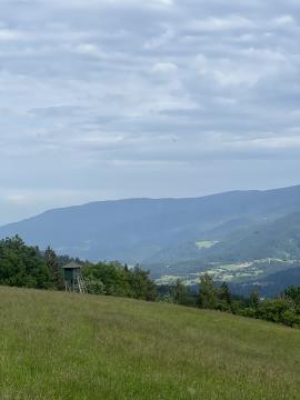 Razgled na Klančniku